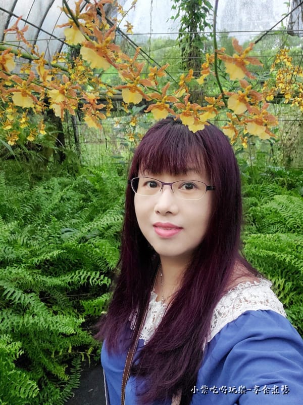 小區-文心蘭蕨類拍照區-金雙甡花卉農場 (2).jpg