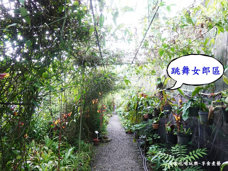 參觀動線-金雙甡花卉農場3.jpg
