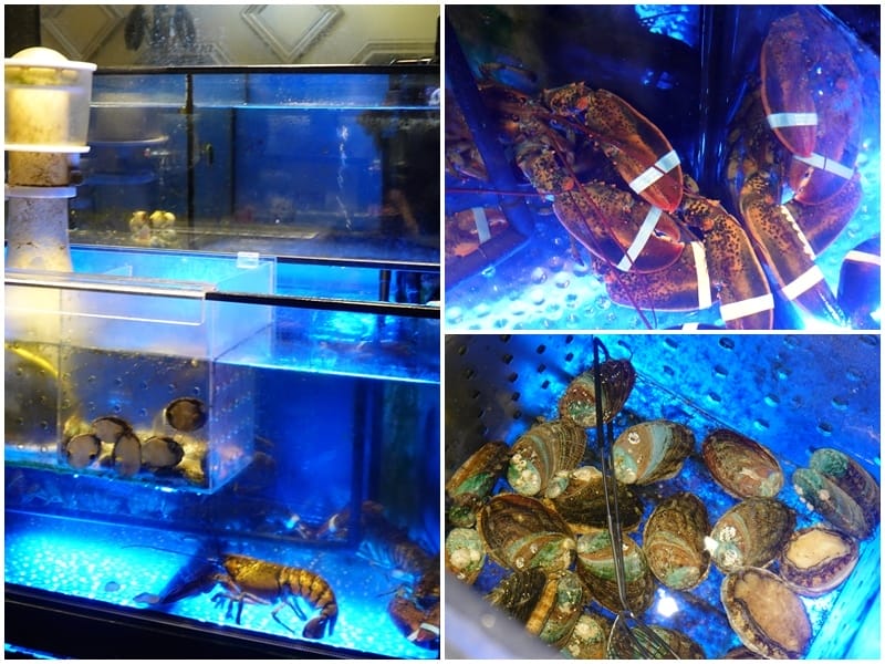 活鮑魚與波龍-好食多涮涮鍋雙城店.jpg 活鮑魚與波龍-好食多涮涮鍋雙城店.jpg