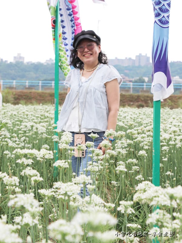 第5站鯉魚旗飛揚-2025大溪韭菜花節 (1).jpg 第5站鯉魚旗飛揚-2025大溪韭菜花節 (1).jpg