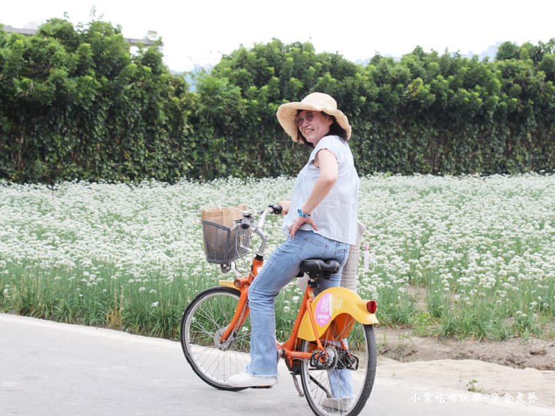 騎ubike遊花田-2025大溪韭菜花節.jpg 騎ubike遊花田-2025大溪韭菜花節.jpg