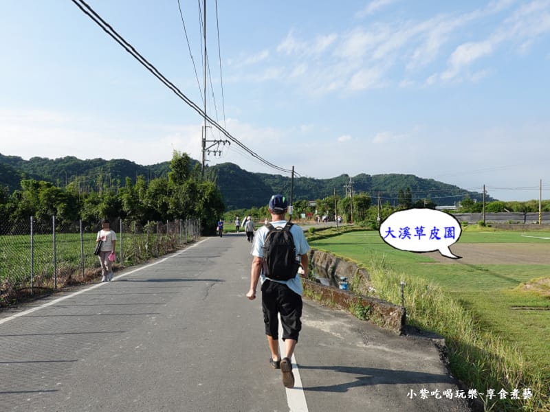 大溪草皮園-2025大溪韭菜花節.jpg 大溪草皮園-2025大溪韭菜花節.jpg