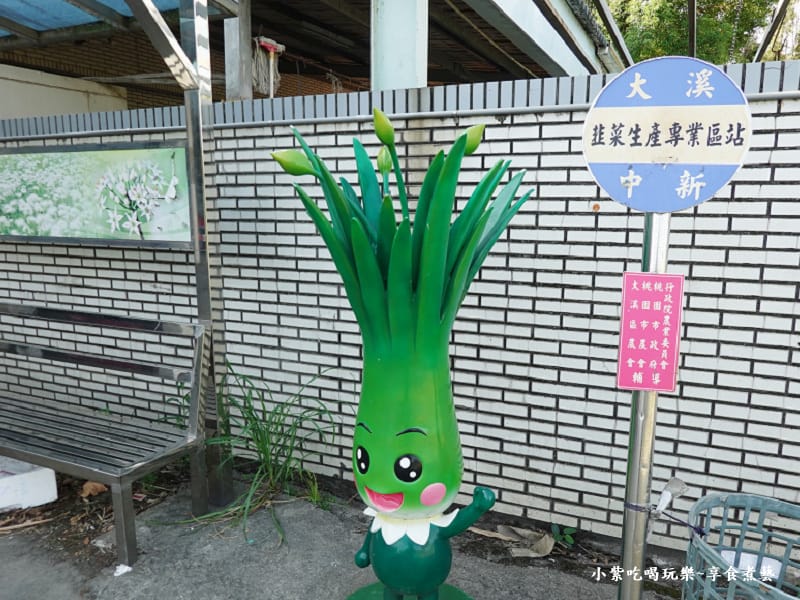 先抵大溪農會蔬菜集運場-2025大溪韭菜花節.jpg 先抵大溪農會蔬菜集運場-2025大溪韭菜花節.jpg