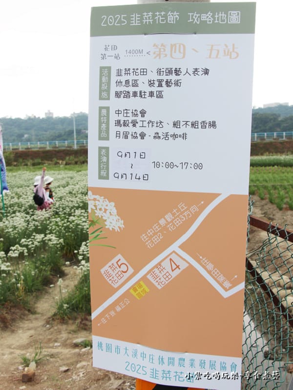第5站鯉魚旗飛揚-2025大溪韭菜花節 (2).jpg 第5站鯉魚旗飛揚-2025大溪韭菜花節 (2).jpg