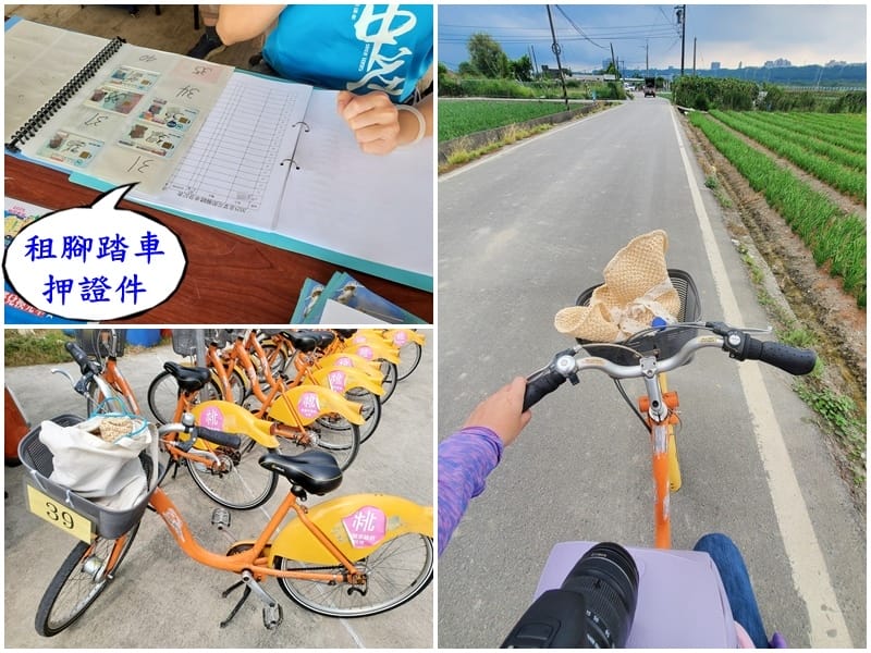 押證件租ubike-2025大溪韭菜花節.jpg 押證件租ubike-2025大溪韭菜花節.jpg