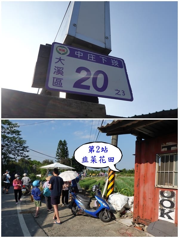 第2站韭菜花田-2025大溪韭菜花節3.jpg 第2站韭菜花田-2025大溪韭菜花節3.jpg