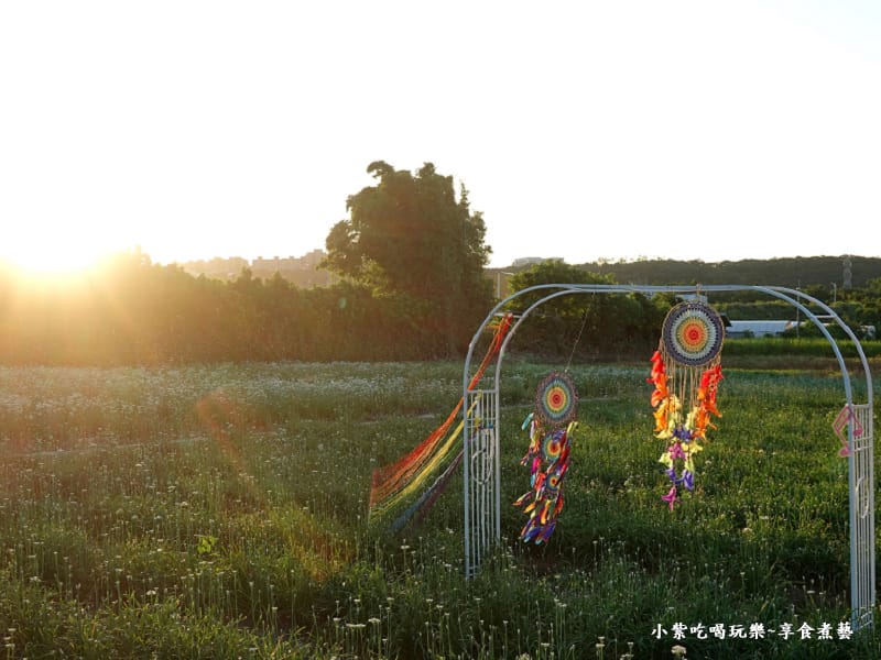 第3站七彩捕夢好運降臨-2025大溪韭菜花節 (6).jpg 第3站七彩捕夢好運降臨-2025大溪韭菜花節 (6).jpg
