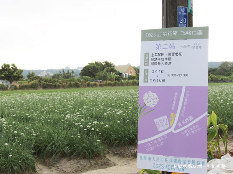 第2站韭菜花田-2025大溪韭菜花節 (1).jpg 第2站韭菜花田-2025大溪韭菜花節 (1).jpg