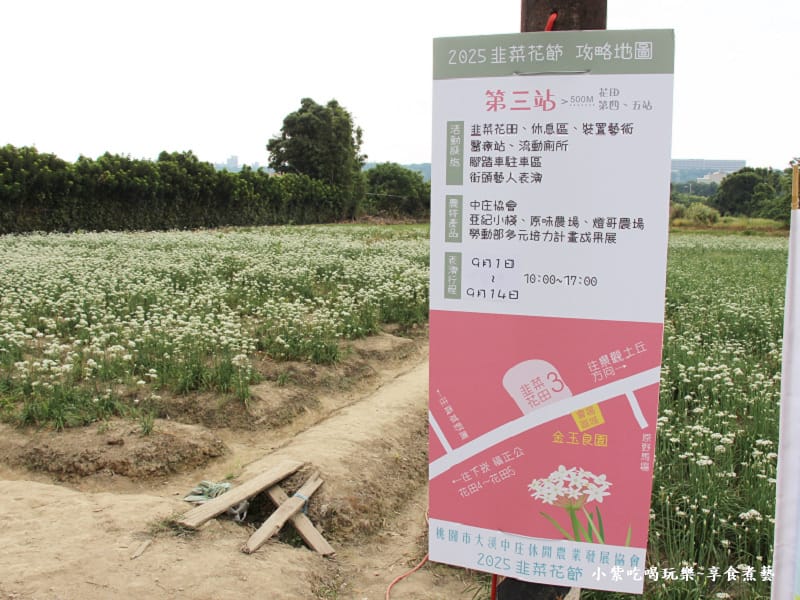 第3站七彩捕夢好運降臨-2025大溪韭菜花節 (3).jpg 第3站七彩捕夢好運降臨-2025大溪韭菜花節 (3).jpg