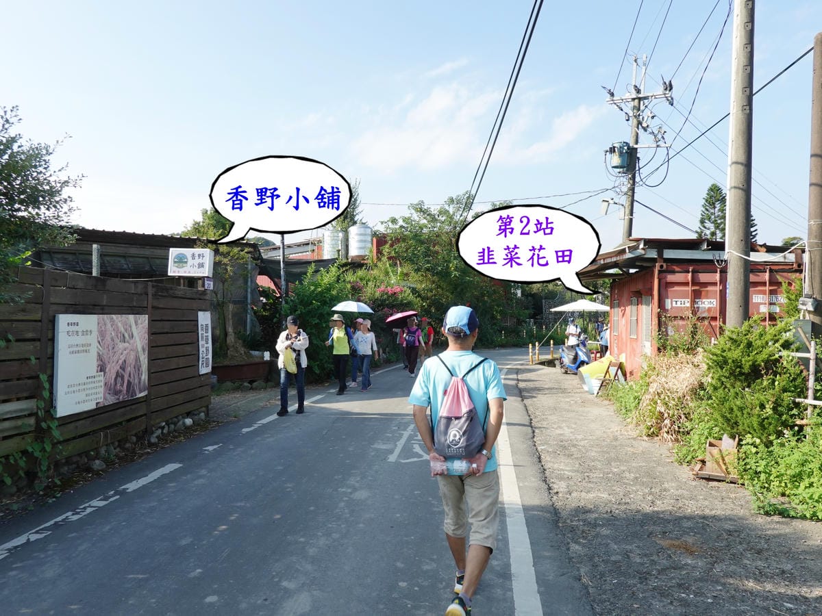 第2站韭菜花田-2025大溪韭菜花季2.JPG 第2站韭菜花田-2025大溪韭菜花季2.JPG