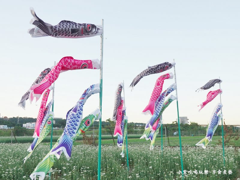 第5站鯉魚旗飛揚-2025大溪韭菜花節 (7).jpg 第5站鯉魚旗飛揚-2025大溪韭菜花節 (7).jpg