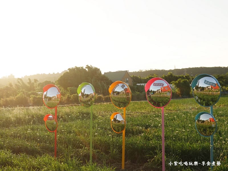 第2站韭菜花田-2025大溪韭菜花節 (2).jpg 第2站韭菜花田-2025大溪韭菜花節 (2).jpg