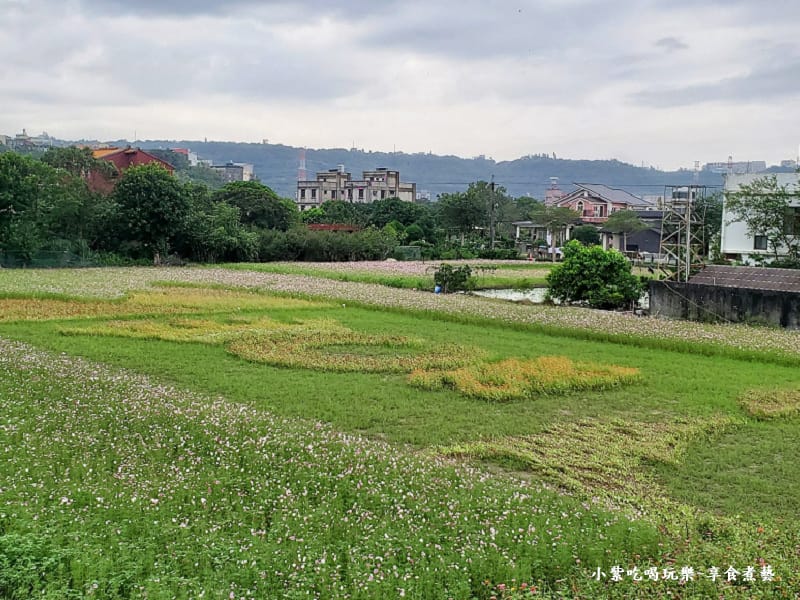 雙豚迎賓慶花彩-2025桃園花彩節 (1).jpg