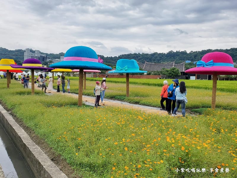 追夢帽廊-2025桃園花彩節 (2).jpg