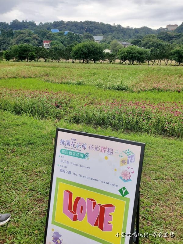 農民創意花田Y愛的立體-2025桃園花彩節.jpg