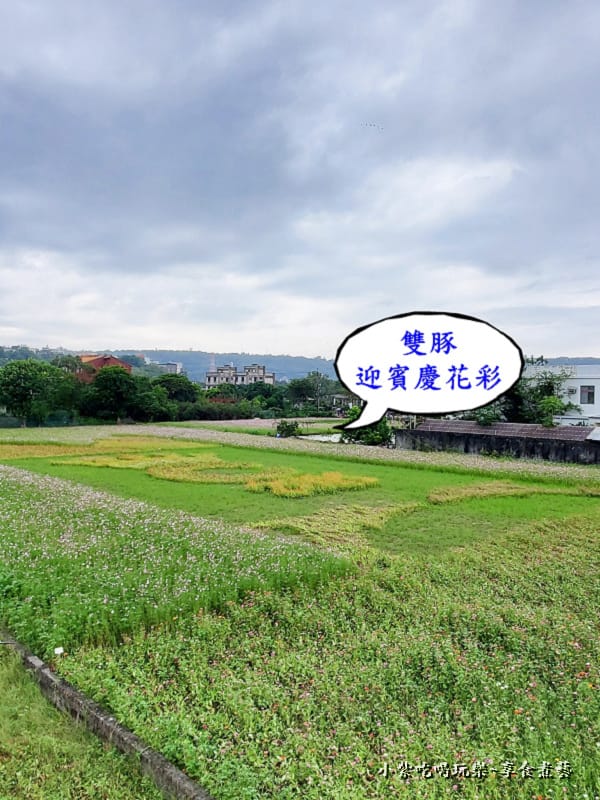 雙豚迎賓慶花彩-2025桃園花彩節 (2).jpg