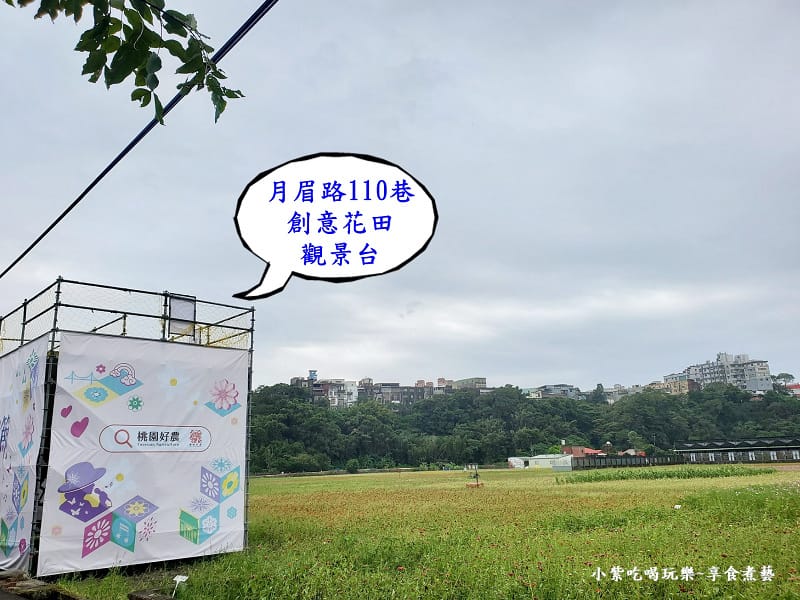 KLM觀賞創意花田高台-2025桃園花彩節.jpg