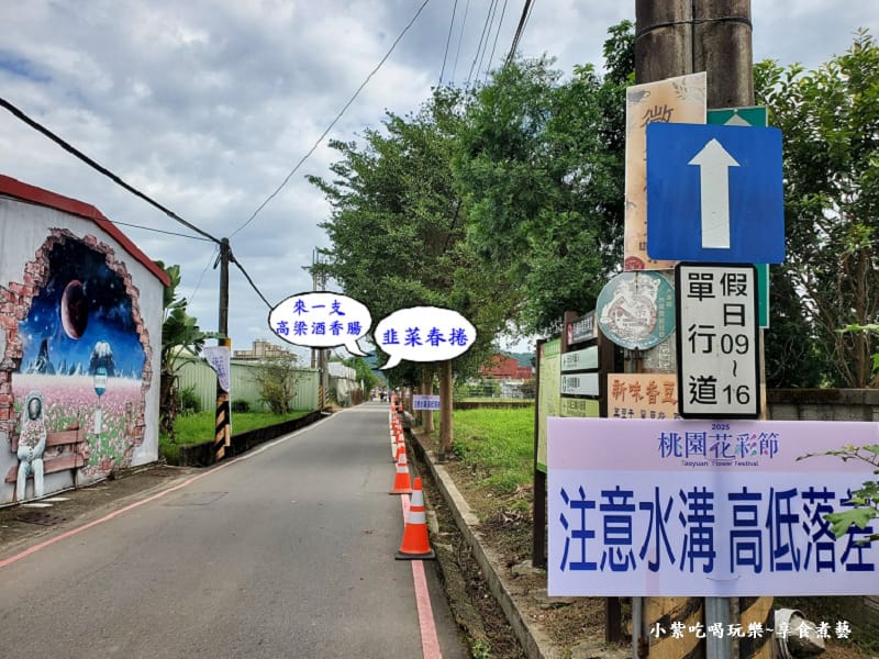 月眉路彩繪與農民美食攤位-2025桃園花彩節 (2).jpg