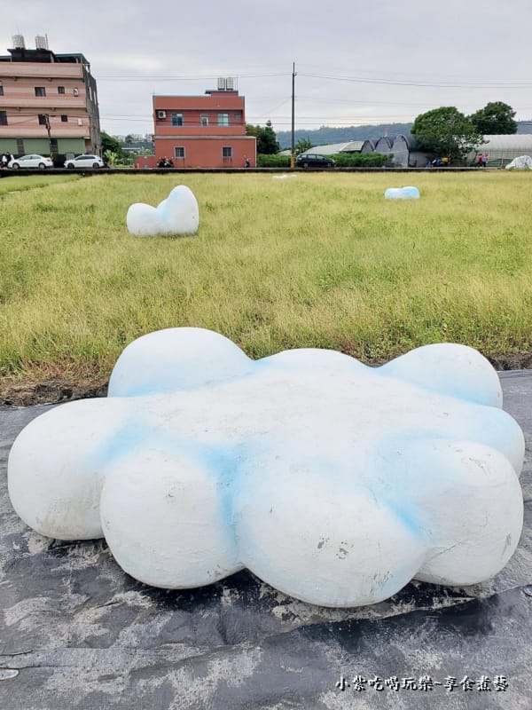 我是一片雲-2025桃園花彩節.jpg