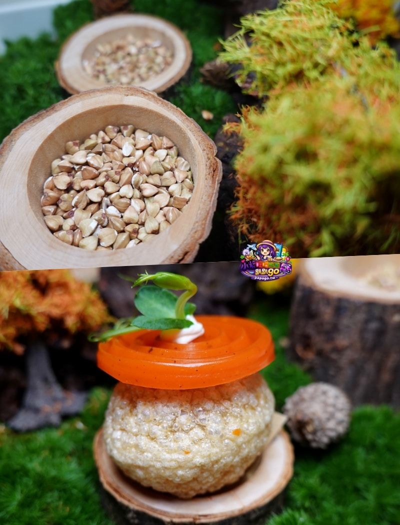 桃園慶生約會餐廳/中壢美食【拾青春Legumes】儀式感滿滿歐風(地中海)西餐料理/生日過節用餐加碼送手作巧克力禮盒(拾青春菜單) - 第20張圖 桃園慶生約會餐廳/中壢美食【拾青春Legumes】儀式感滿滿歐風(地中海)西餐料理/生日過節用餐加碼送手作巧克力禮盒(拾青春菜單)