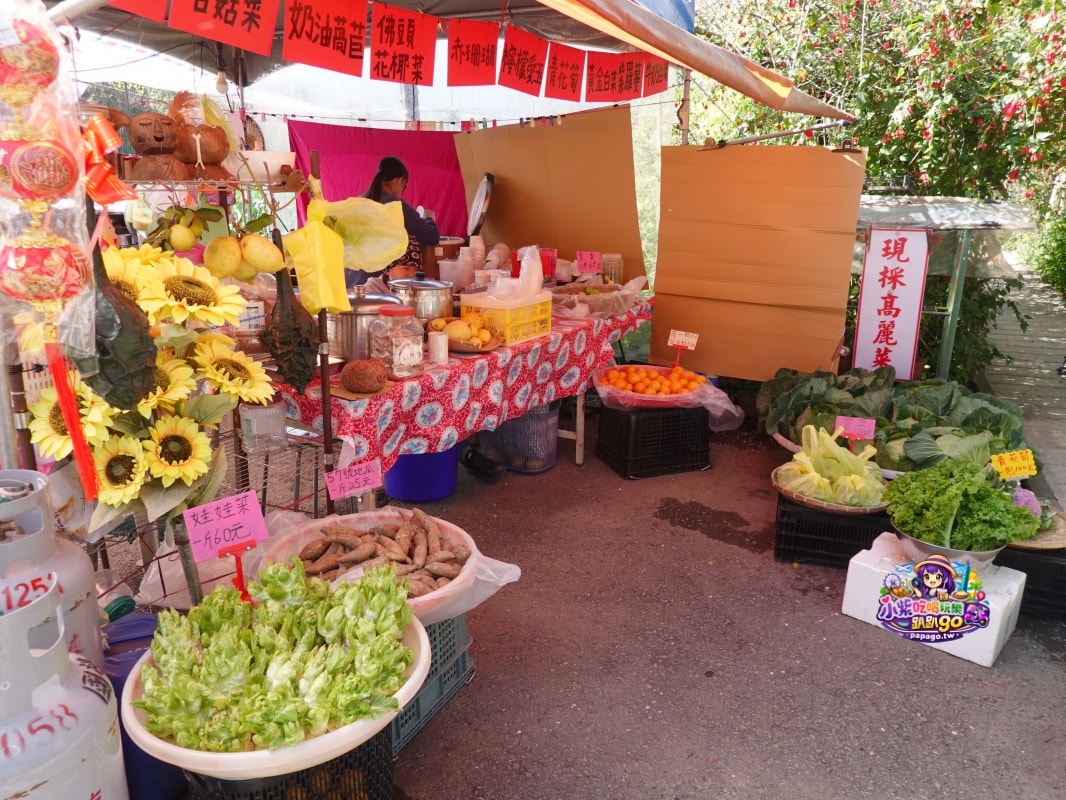 南投賞花景點美食/信義鄉草坪頭櫻花季【101葉家古厝】燈籠花隧道/茶園櫻花景觀步道/肉燥飯/15道現採現炒山區特色時蔬每盤100元(草坪頭美食推薦)