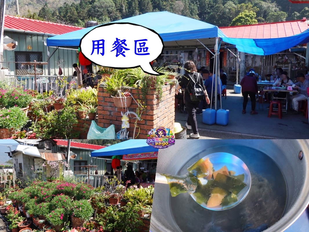 南投賞花景點美食/信義鄉草坪頭櫻花季【101葉家古厝】燈籠花隧道/茶園櫻花景觀步道/肉燥飯/15道現採現炒山區特色時蔬每盤100元(草坪頭美食推薦)
