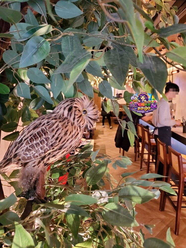 新北火鍋吃到飽/永和寵物友善/單人友善吃到飽【呼穀壽喜燒永和中正店 】伯爵茶壽喜燒湯底涮肉真好吃!6種牛豬雞肉盤/鍋物飲品自助吧(呼穀壽喜燒菜單) - 第2張圖 新北火鍋吃到飽/永和寵物友善/單人友善吃到飽【呼穀壽喜燒永和中正店 】伯爵茶壽喜燒湯底涮肉真好吃!6種牛豬雞肉盤/鍋物飲品自助吧(呼穀壽喜燒菜單)