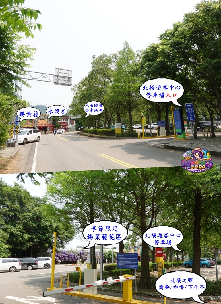 桃園免費賞花景點/季節限定【大溪錫葉藤花瀑】貓打番幸福多肉花園/北橫遊客中心/永興宮旁美麗夢幻漸層許願藤(紫花瀑布)搭公車即可抵達(遊記內有汽、機車停車場資訊)