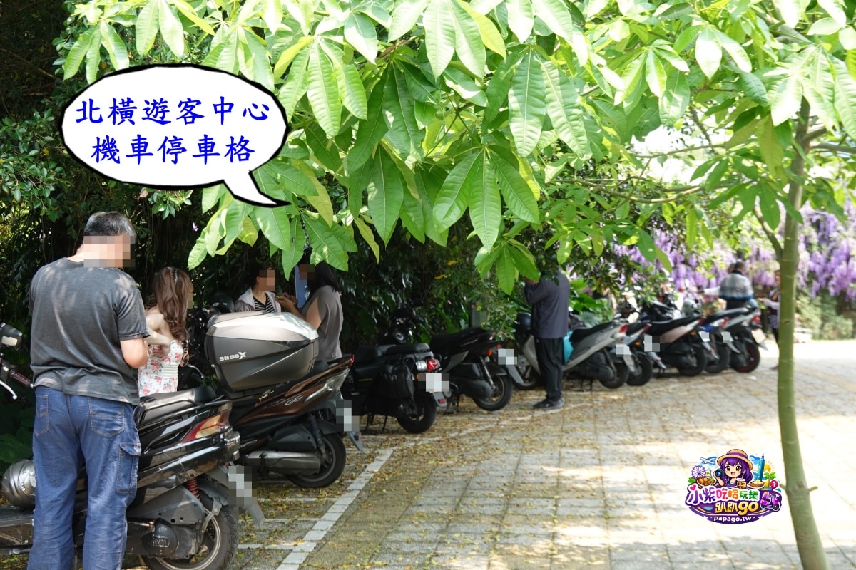 桃園免費賞花景點/季節限定【大溪錫葉藤花瀑】貓打番幸福多肉花園/北橫遊客中心/永興宮旁美麗夢幻漸層許願藤(紫花瀑布)搭公車即可抵達(遊記內有汽、機車停車場資訊)
