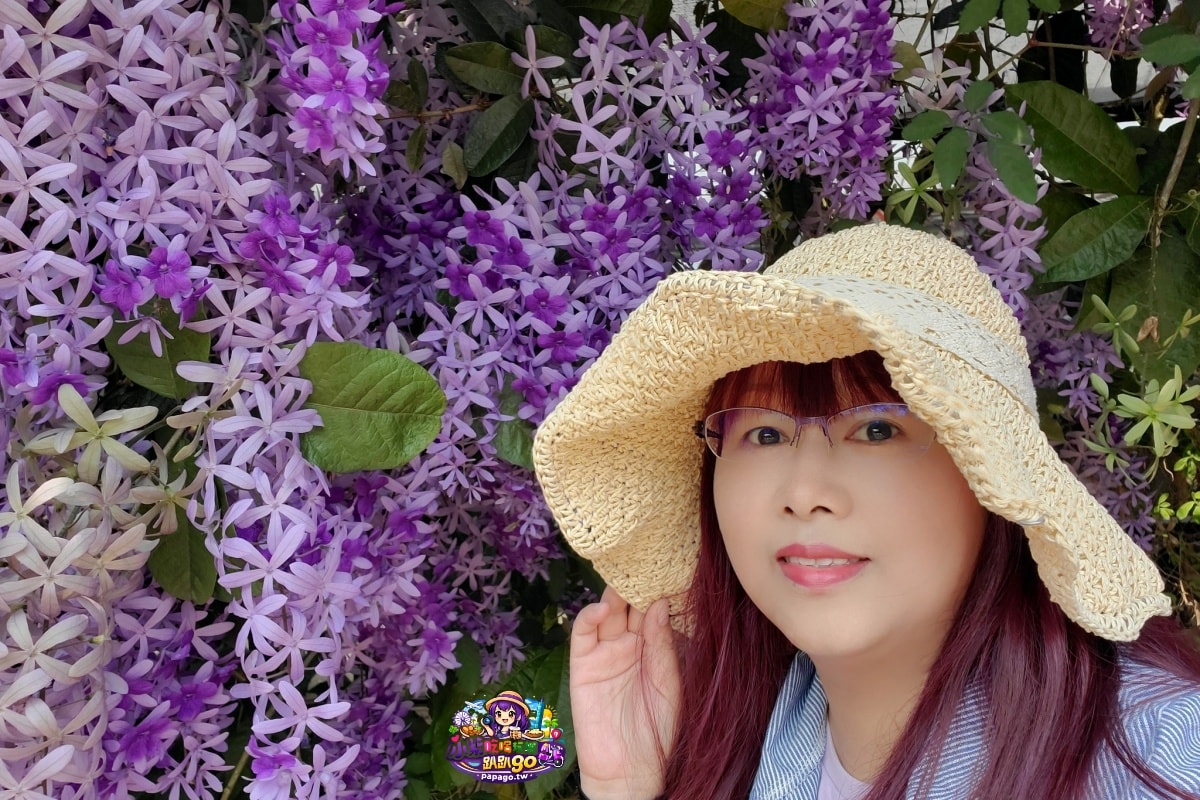桃園免費賞花景點/季節限定【大溪錫葉藤花瀑】貓打番幸福多肉花園/北橫遊客中心/永興宮旁美麗夢幻漸層許願藤(紫花瀑布)搭公車即可抵達(遊記內有汽、機車停車場資訊)