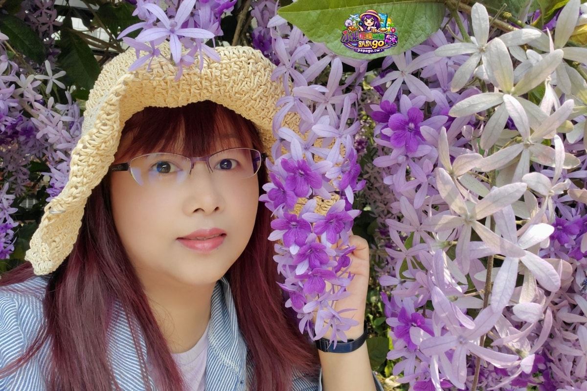 桃園免費賞花景點/季節限定【大溪錫葉藤花瀑】貓打番幸福多肉花園/北橫遊客中心/永興宮旁美麗夢幻漸層許願藤(紫花瀑布)搭公車即可抵達(遊記內有汽、機車停車場資訊)