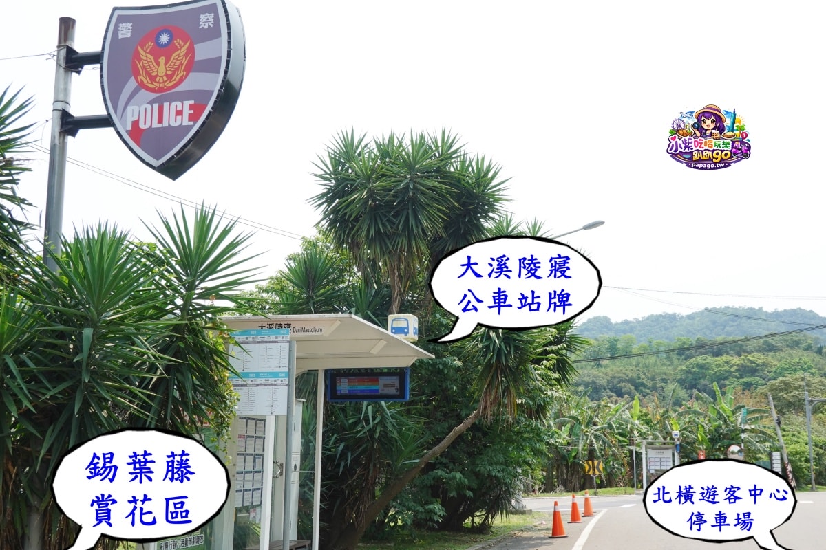 桃園免費賞花景點/季節限定【大溪錫葉藤花瀑】貓打番幸福多肉花園/北橫遊客中心/永興宮旁美麗夢幻漸層許願藤(紫花瀑布)搭公車即可抵達(遊記內有汽、機車停車場資訊)