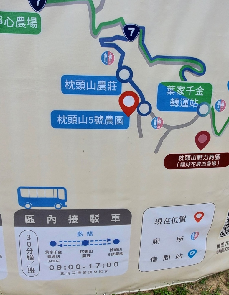 桃園免費賞繡球花景點/花現台七繡球金針農遊趣【枕頭山5號農園】馬告茶葉蛋/繡球花奶酪/手作巴斯克乳酪蛋糕(竹筍季還可預約採筍樂)附設免費停車場